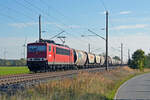 Mit einem Transcereal rollte der LDK-Container 155 191 am 20.10.24 durch Wittenberg-Labetz Richtung Dessau.