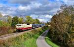 181 215 mit einem leeren Autozug am 14.10.2022 bei Schwaigen.