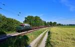 194 088 mit einem Rungenwagenzug am 03.07.2021 bei Langenisarhofen.