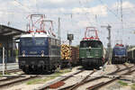 E 10 882 (DB Museum Nürnberg), 194 192-1 und 110 262-3 (eigentlich 139 262) des BEM beim diesjährigen Eisenbahnfest am 12.05.2024.