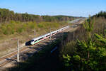 403 019 DB Fernverkehr  Bergisch-Gladbach  als ICE 1002 (München Hbf - Berlin Hbf) bei Allersberg (Rothsee), 25.04.2021