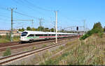 411 013-6 (Tz 1113  Hansestadt Stralsund ) und 411 519-2 (Tz 1119  Meißen ) unterwegs in Halle-Ammendorf, Eisenbahnstraße.

🧰 DB Fernverkehr
🚝 ICE 93  Berolina  (Linie 91) / ICE 1093 (Linie 29) Berlin Hbf (tief)–München Hbf | ICE 2513 Hamburg-Altona–Nürnberg Hbf [+5]
🕓 16.9.2023 | 11:28 Uhr