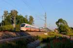 Der Tz 1101  Neustadt an der Weinstraße  als ICE 1506 von München nach Rostock am 01.06.2014 in Nassenheide.