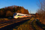 411 014 DB Fernverkehr  Bamberg  als ICE 90 (Wien Hbf - Hamburg-Altona) bei Postbauer-Heng, 02.03.2021