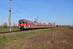 DB 420 472 und 420 432 erreichen den Haltepunkt Arnbach als S2 zur Fahrt nach Altomünster. (16.10.2023)