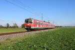 DB 420 474-9 rollt als S2 von Dachau nach Altomünster, hier zwischen Markt Indersdorf und Arnbach. (16.10.2023)