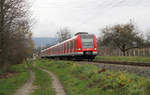 DB Regio 423 425 + 423 429 // Kronberg // 23. November 2015