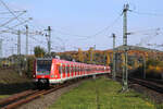 DB Regio 423 499 + 423 438 // Offenbach (Main) Ost // 27. Oktober 2015