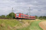 DB Regio 423 412 // Friedrichsdorf (Taunus) // 5. September 2016