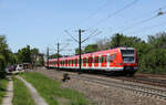 DB Regio 423 311 + 423 342 // Tamm (Württemberg) // 16. Mai 2017