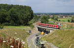 DB Regio 423 ___ // Aufgenommen zwischen Renningen Süd und Magstadt. // 14. Juli 2017