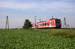 DB Regio 423 403 + 423 402 // Aufgenommen zwischen Nievenheim und Neuss-Allerheiligen. // 22. September 2010