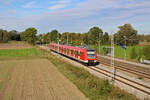 DB 423 169-5 erreicht Pulling als S1 von Freising nach Leuchtenbergring. (29.09.2023)