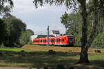 DB Regio 425 081 // Heinsberg // 10. Juni 2014