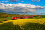 425 044 DB Regio als RB 58130 (Treuchtlingen - Würzburg Hbf) bei Lehrberg, 22.05.2021