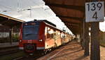 DB Regio AG - Region Südost, Fahrzeugnutzer: S-Bahn Mittelelbe, Magdeburg mit ihrer  425 508-9  (NVR:  94 80 0425 508-9 D-DB..... ) als RB 40 nach Burg bei der Abfahrt im Bahnhof Magdeburg Neustadt am 17.10.24 in der Abendsonne.