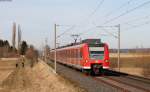 425 313-4 und 425 303-5 als RE 19091/RE 19591 (Stuttgart Hbf-Rottweil/Freudenstadt Hbf) bei Gäufelden 8.3.15