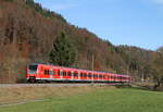 425 313-4 und 425 307-6  Fronsbach  als RE 19087 (Eutingen(Gäu)-Rottweil) bei Sulz 20.11.16