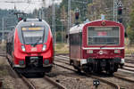 Für den RE 5 von und nach Stralsund musste der VT 43 von und nach Mirow das Bahnsteiggleis 4 in Neustrelitz räumen. - 24.10.2017