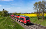 442 110 und 442 111 als RB 15117 / RB 15017 (Dillenburg / Treysa – Frankfurt(Main)Hbf) bei Kirch Göns 3.5.23  