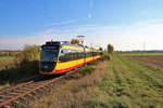 AVG (Albtal-Verkehrs-Gesellschaft) Bombardier ET2010 Wagen 931+941 am 03.11.18 in der Nähe von Sulzbach auf der Strecke Frankfurt Höchst-Bad Soden. Durch Planungen zur RTW Regionaltangente West wurden zum zweitem mal Testfahrten mit AVG Stadtbahnwagen aus Karlsruhe vorgenommen