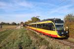 AVG (Albtal-Verkehrs-Gesellschaft) Bombardier ET2010 Wagen 941+931 am 03.11.18 in der Nähe von Sulzbach auf der Strecke Frankfurt Höchst-Bad Soden. Durch Planungen zur RTW Regionaltangente West wurden zum zweitem mal Testfahrten mit AVG Stadtbahnwagen aus Karlsruhe vorgenommen