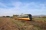 AVG (Albtal-Verkehrs-Gesellschaft) Bombardier ET2010 Wagen 941+931 am 03.11.18 in der Nähe von Sulzbach auf der Strecke Frankfurt Höchst-Bad Soden.