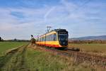 AVG (Albtal-Verkehrs-Gesellschaft) Bombardier ET2010 Wagen 941+931 am 03.11.18 in der Nähe von Sulzbach auf der Strecke Frankfurt Höchst-Bad Soden.