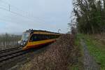 AVG Triebwagen 937 verschwindet hier hinterm Gestrüp am ansteigenden Neckarsteig, der Zug ist als S41 nach Mosbach Baden unterwegs am 18.1.2022