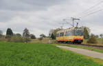 VBK 572 // Aufgenommen zwischen den Stationen Langensteinbach Schießhüttenäcker und Reichenbach bei Ettlingen. // 28. Oktober 2017