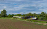 463 014 und 463 021 als RB 17125 (Offenburg - Freiburg Hbf) bei Ringsheim 22.5.24