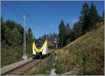 Der DB 1440 856 und ein weiterer sind von Endingen (Baden) nach Seebrugg unterwegs und erreicht die Haltestelle Altgashütten-Falkau, wo ich am Ende des Bahnsteiges dieses Bild gemacht habe.