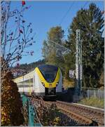 Der DB 1440 863 (und ein weiterer Coradia Continental 2) erreichen in Kürze den Halt Schluchsee.