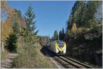 Zwei DB Coradia Continental 2 sind zwischen Aha und Altglashütten-Falkau auf dem Weg in Richtung Freiburg.