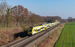 1462 008 und 1462 004 als RB 17111 (Offenburg - Freiburg Hbf) bei Friesenheim 8.3.24