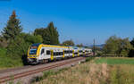 1462 001 und 1462 008 als RE 17007 (Rastatt - Basel Bad Bf) bei Kollmarsreute 20.9.24