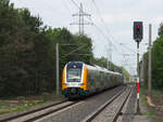 Eine Überführung, gebildet aus den beiden Desiro HC der ODEG, durcheilt gleich Potsdam-Pirschheide.
Auf dem vorderen Zug (3462 016) war  Paris - Rom - Erkner  angeschlagen, auf dem hinteren (3462 122)  Atlantis .

Potsdam, der 04.05.2024