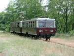 Steuerwagen 879 603 am 08.06.2003 auf der Fahrt von Müncheberg in Richtung Endbahnhof Buckow.