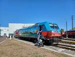 DB 185 367-0  Günni  am 21.09.2024 beim Tag der Schiene im DB Instandhaltungswerk Halle (S).