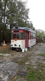 Der ausgediente Tw 34 der Naumburger Straßenbahn konnte am 01.11.2019 in Naumburg beim Besuch einer Modellbahnausstellung fotografiert werden.