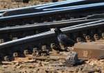 So lt die Bahn ihre Gleisanlagen reinigen. Eine Krhe beim Sammeln von Nistmaterial an einer Weiche in Aachen West am 28.03.2011.