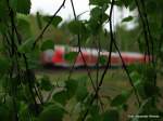 Mal ein Experiment zum Mnnertag mit Lindenblttern. Im Hintergrund durcheilt ein RE 2 nach Cottbus den Streckenabschnitt zwischen Bestensee und Gro Kris am 1.Mai. Wie gefllt es euch?