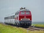 Ein Säbelschnäbler flieht vor dem herannahenden Zug, welcher von den Diesellokomotiven 218 373-9 und 218 341-6 gezogen wird. (Friedrich-Wilhelm-Lübke-Koog, Juni 2024) 