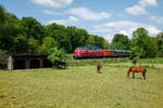 V200 033 mit Sonderzug auf der Angertalbahn, am 18.05.2019.