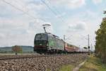 Mit dem AKE Rheingold  Lago Maggiore-Express  DPE 50 (Domodossola - Berlin) fuhr am Nachmittag des 19.05.2019 die ELL/SBBCI 193 258  SBB Cargo International , welche den Sonderzug auf dem kompletten Laufweg bespannte, bei Hügelheim am südlichen Schwarzwald entlang durchs Rheintal in Richtung Freiburg (Breisgau).