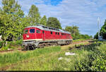 Mit dem Eilzug von Aschersleben nach Berlin

Bevor die Sonderfahrt am Bahnsteig starten kann, muss der Zug noch die Richtung wechseln. 232 293-1 (132 293-2) kehrt gerade vom Personenbahnhof zurück und setzt sich am alten Rangierbahnhof wieder an ihre Wagen.
Nachschuss von der Weststraße.

🧰 Erfurter Bahnservice GmbH (EBS) | Verein zu Pflege des Eisenbahnkulturgutes Köthen e.V.
🚝 SDZ 1820 Aschersleben–Berlin-Lichtenberg
🕓 21.5.2022 | 8:10 Uhr