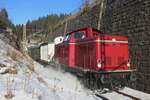 V 100 1019 der UEF treft mit deren Sonderzug aus Titisee am 30 Dezember 2024 in Seebrugg ein und wird vom Bahnsteig fotografiert.