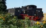 Mansfelder Bergwerksbahn Lok Nr. 20, 750 mm Spurweite, mit Sonderzug in Siersleben, fotografiert am 04.08.2012