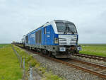 Der von der Diesellokomotive 247 909  Anne  kommt gerade auf dem Festland an, so gesehen im Juni 2024 bei Friedrich-Wilhelm-Lübke-Koog.