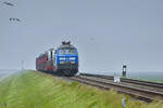 Die Diesellokomotiven 218 054-3 und 218 055-2 wurden vor einen Syltshuttle-Zug gespannt und sind hier Anfang Juni 2024 in Friedrich-Wilhelm-Lübke-Koog zu sehen.